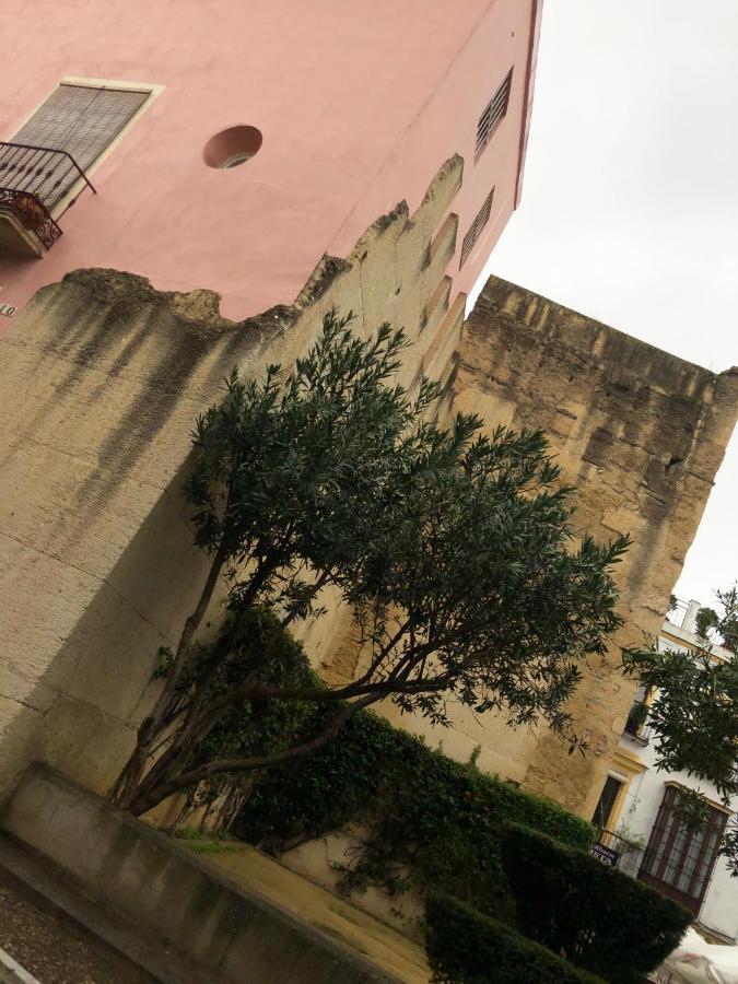 Twins' Chancilleria, Jerez Centro, Cadiz, Wifi Apartment
